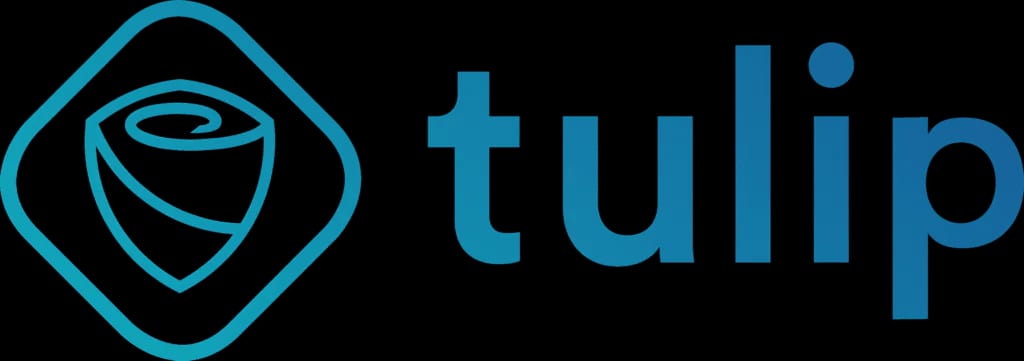 Tulip — partenaire assurance casse & vol